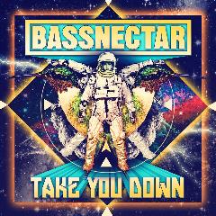 Bassnectar - Take You Down (2013) Bassnectar - Take You Down (2013)