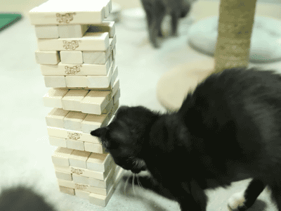 LDIAN.gif