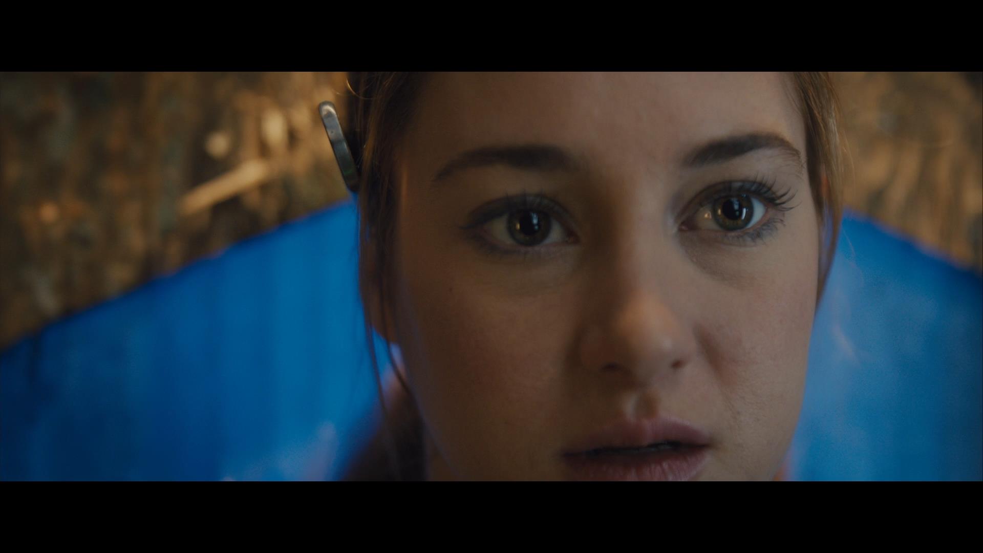 Divergent 2014 BluRay REMUX 1080p AVC DTS-HD MA 71