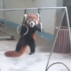 UQFny.gif