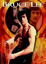 Bruce Lee:El viaje de un guerrero (TVRip)(Castellano)