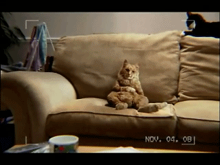 ZFptj.gif
