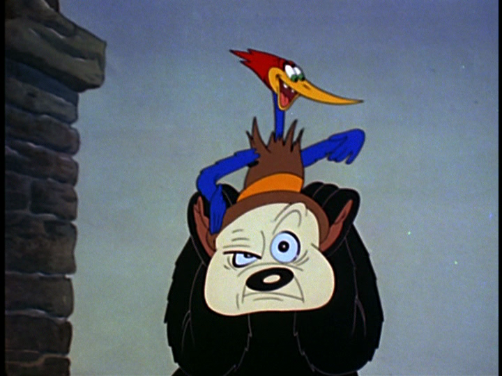 ZSt9L.png