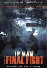 Ip Man: The Final Fight (DVDRip)(V.o Sub Esp)