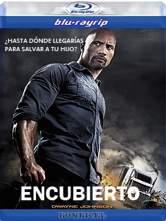 Snitch 2013 BRRip XviD Audio Latino AC3-5.1