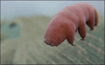 tPV2s.gif