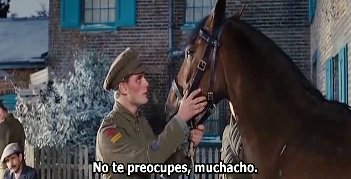 zUCP9.png