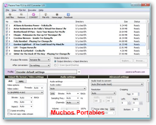 Portable Pazera FLV to AVI Converter