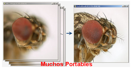 Portable Zerene Stacker