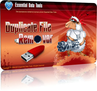 Duplicate File Remover Portable