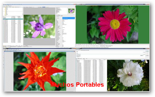 WildBit Viewer Portable