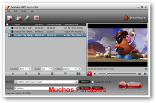 Portable Pavtube MKV Converter