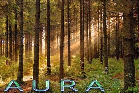 Portable Aura