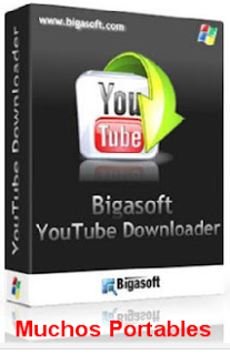Portable Bigasoft Video Downloader Pro 