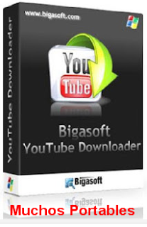 Portable Bigasoft Video Downloader Pro